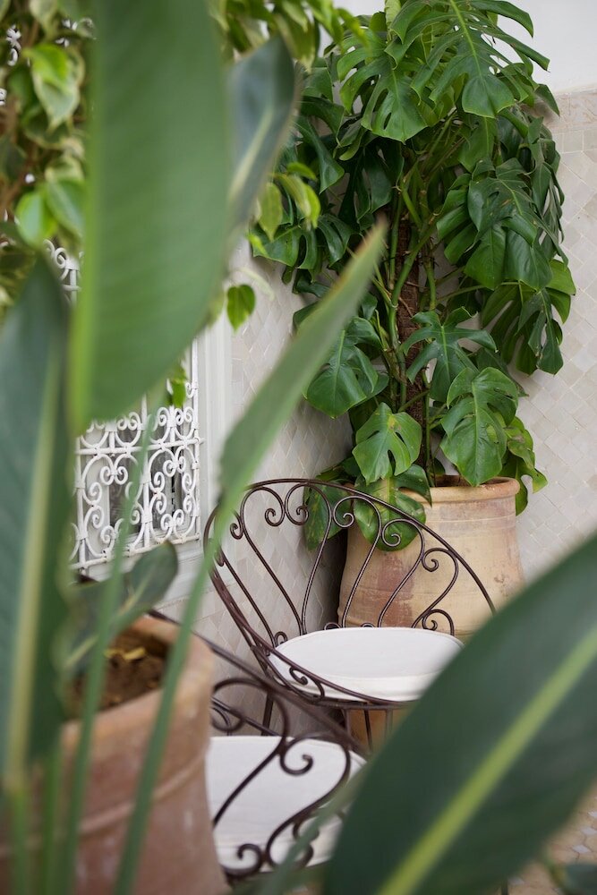 Фото Riad Oriental Glory & Spa