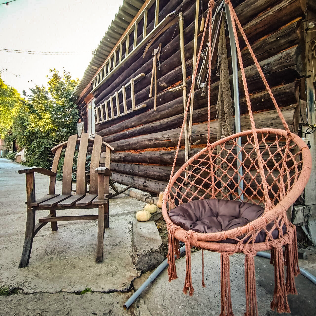 Фото Горная Роза