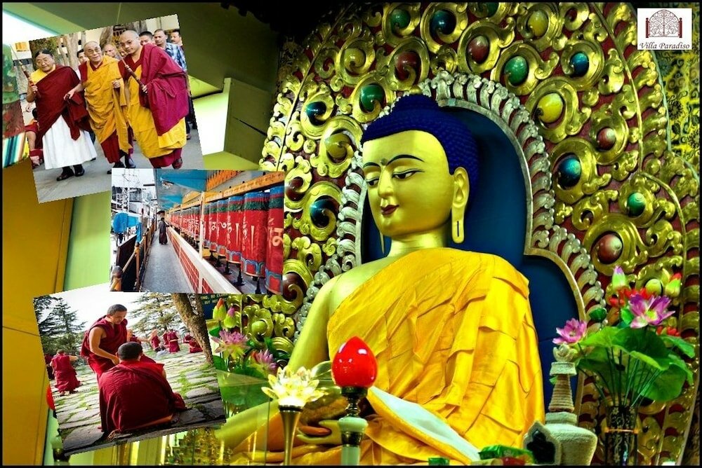 Фото Villa Paradiso