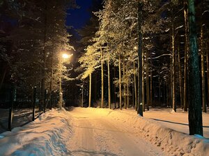 больничный парк (Республика Коми, муниципальный округ Ухта, посёлок городского типа Шудаяг, больничный парк), парк культуры и отдыха в Республике Коми