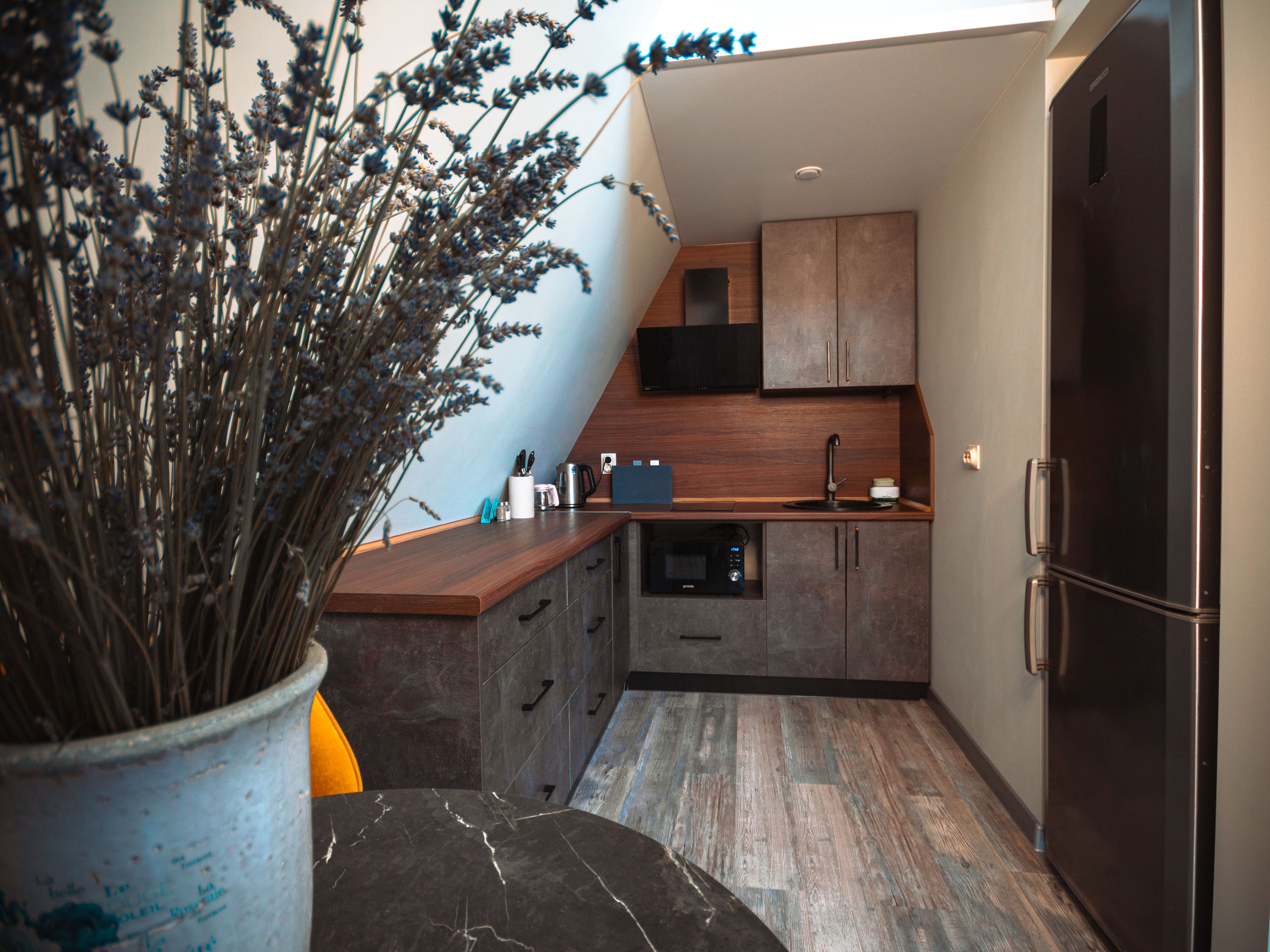 Фото Среда Обитания