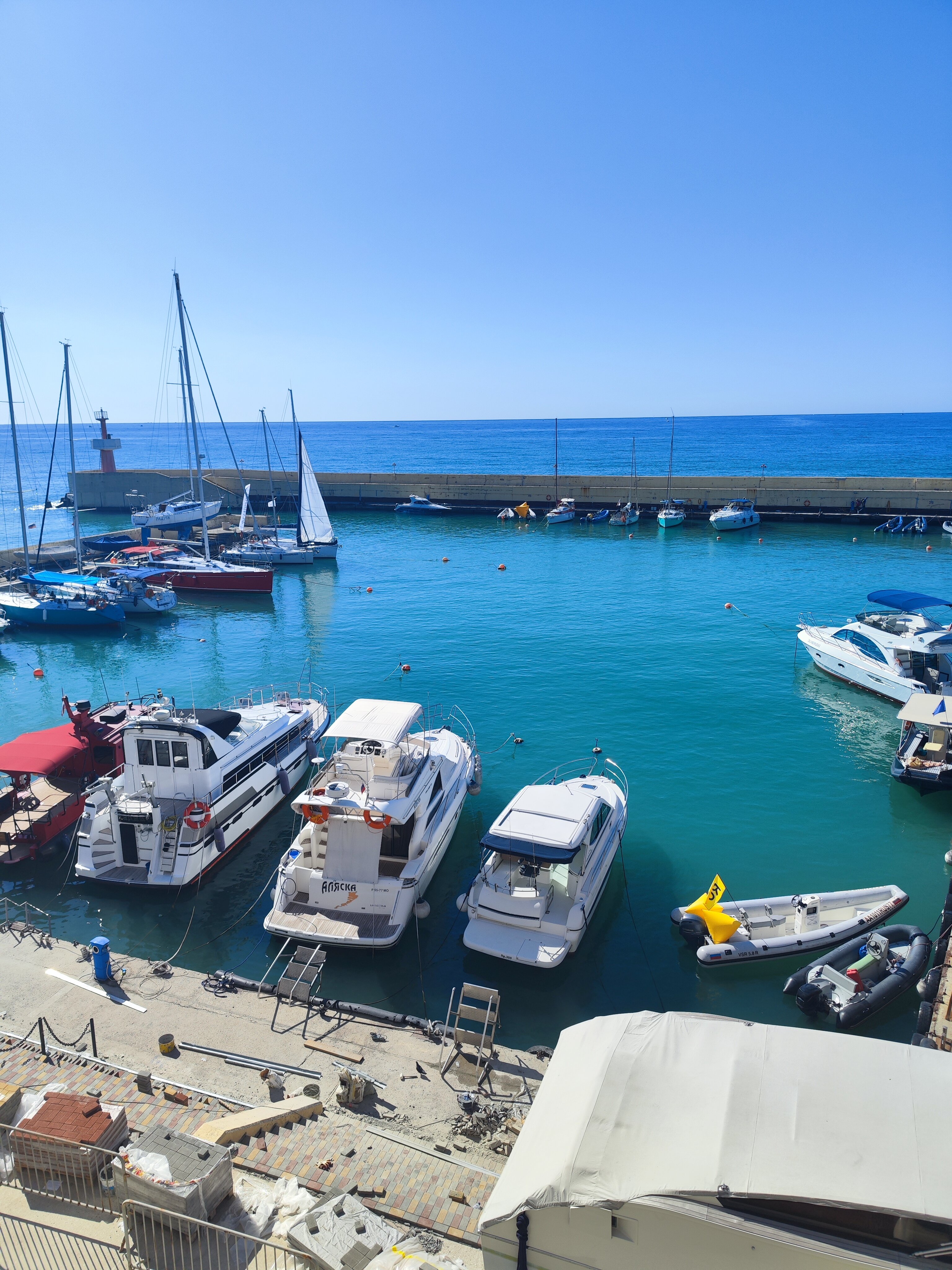 Фото Пеликан