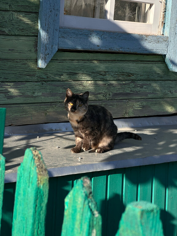 Фото Деревнинг Заземление