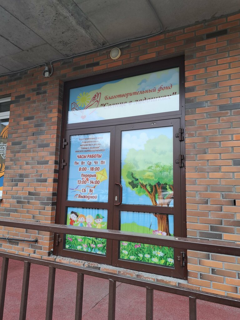 Fundación benéfica Blagotvoritelny fond pomoshchi detyam Solntse V ladoshkakh, , foto