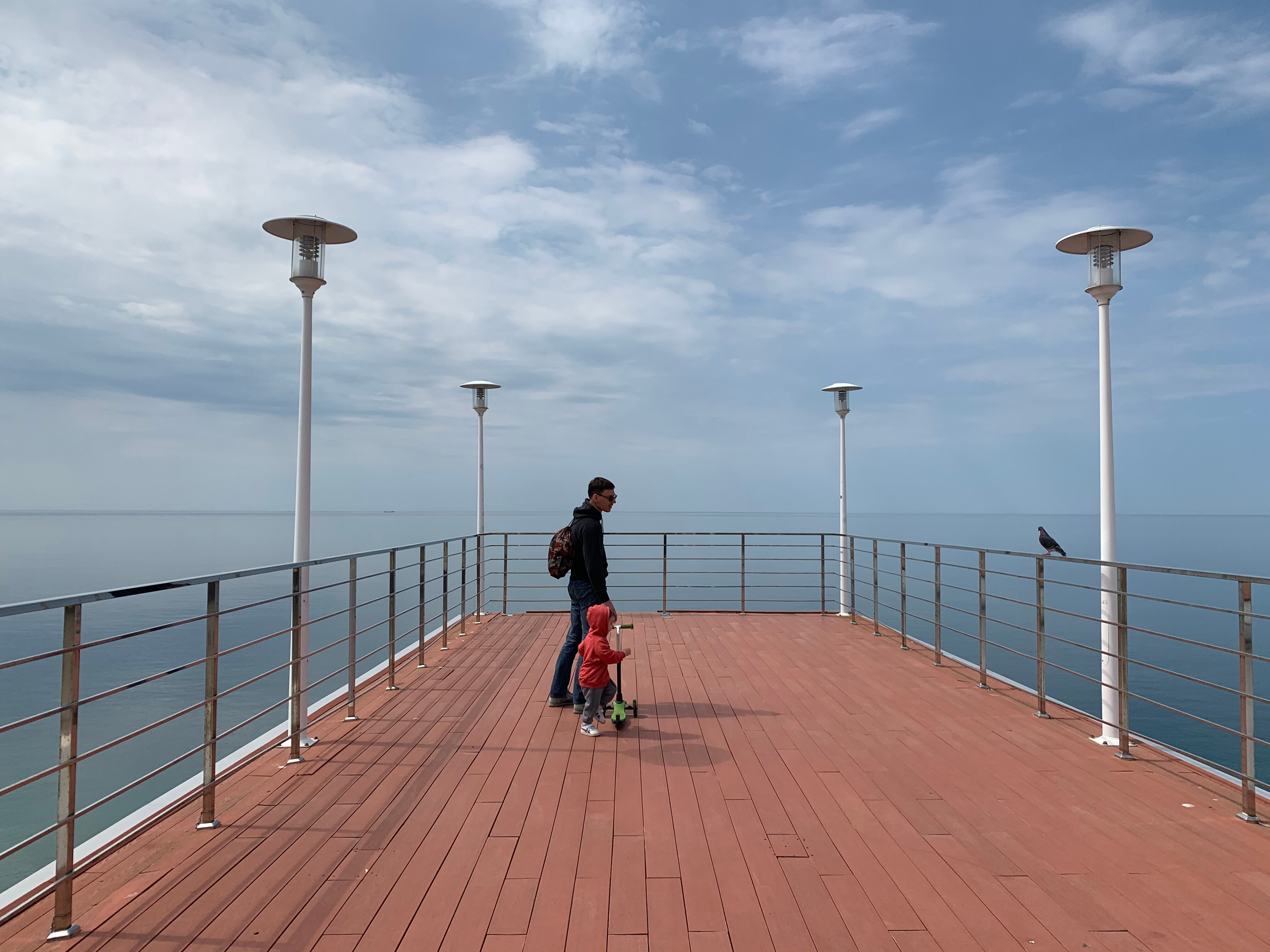 Фото Розмарин