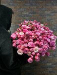 Amarant (Dovatora Avenue, 31), floristeria