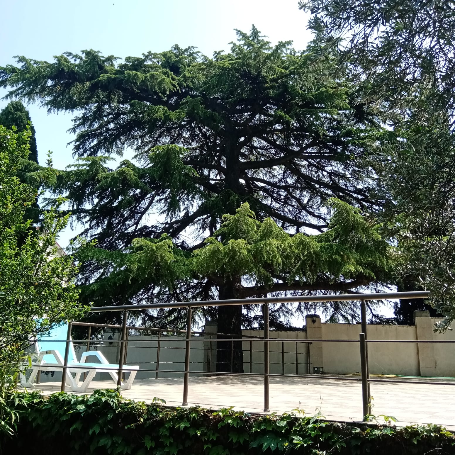 Фото Апартамент с огромной терассой