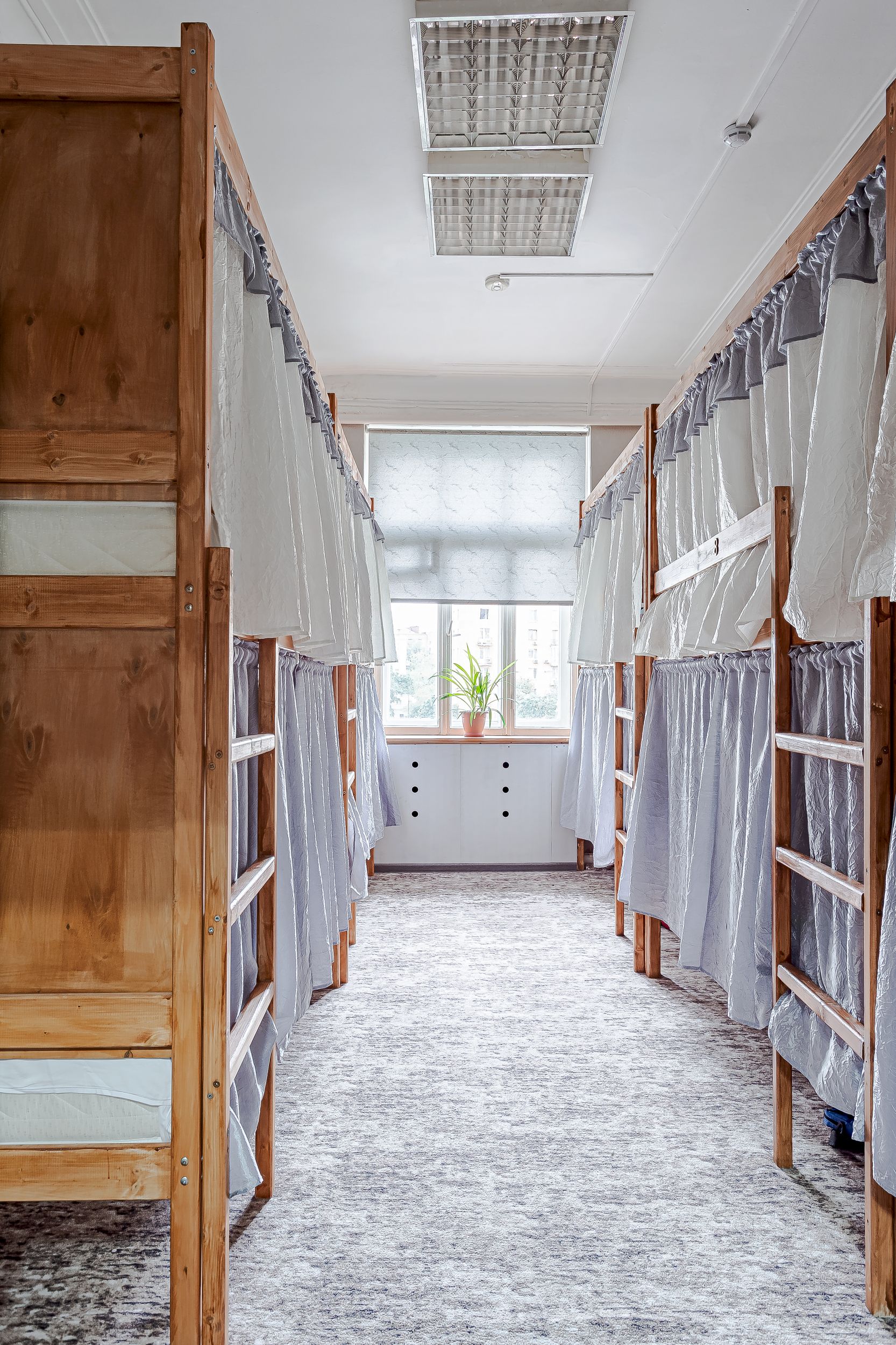 Фото Смоленка