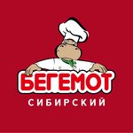 Сибирский Бегемот (Torpedo Street, 45В), management company