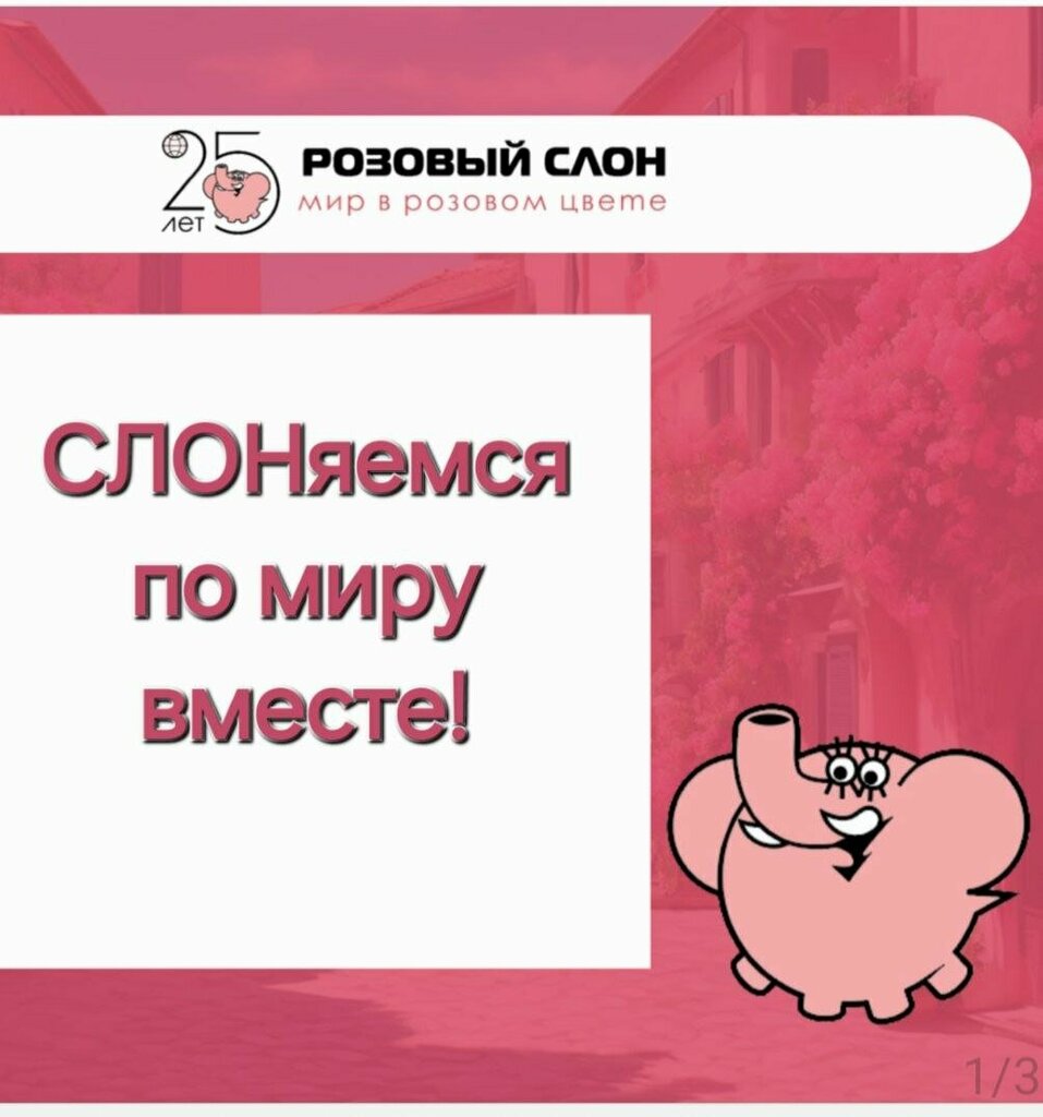 Travel agency Розовый Слон, Yaroslavl, photo