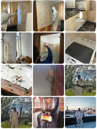 Twisties hd порно фотосуреттер