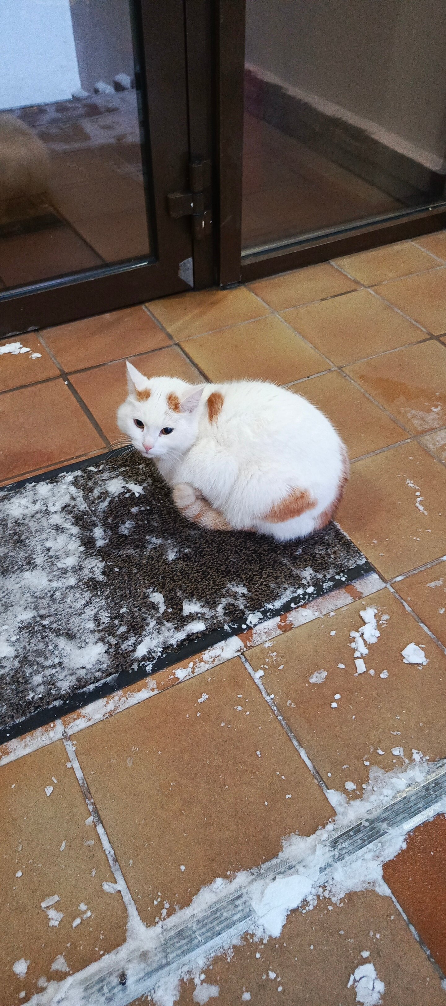 Фото Pride Hotel