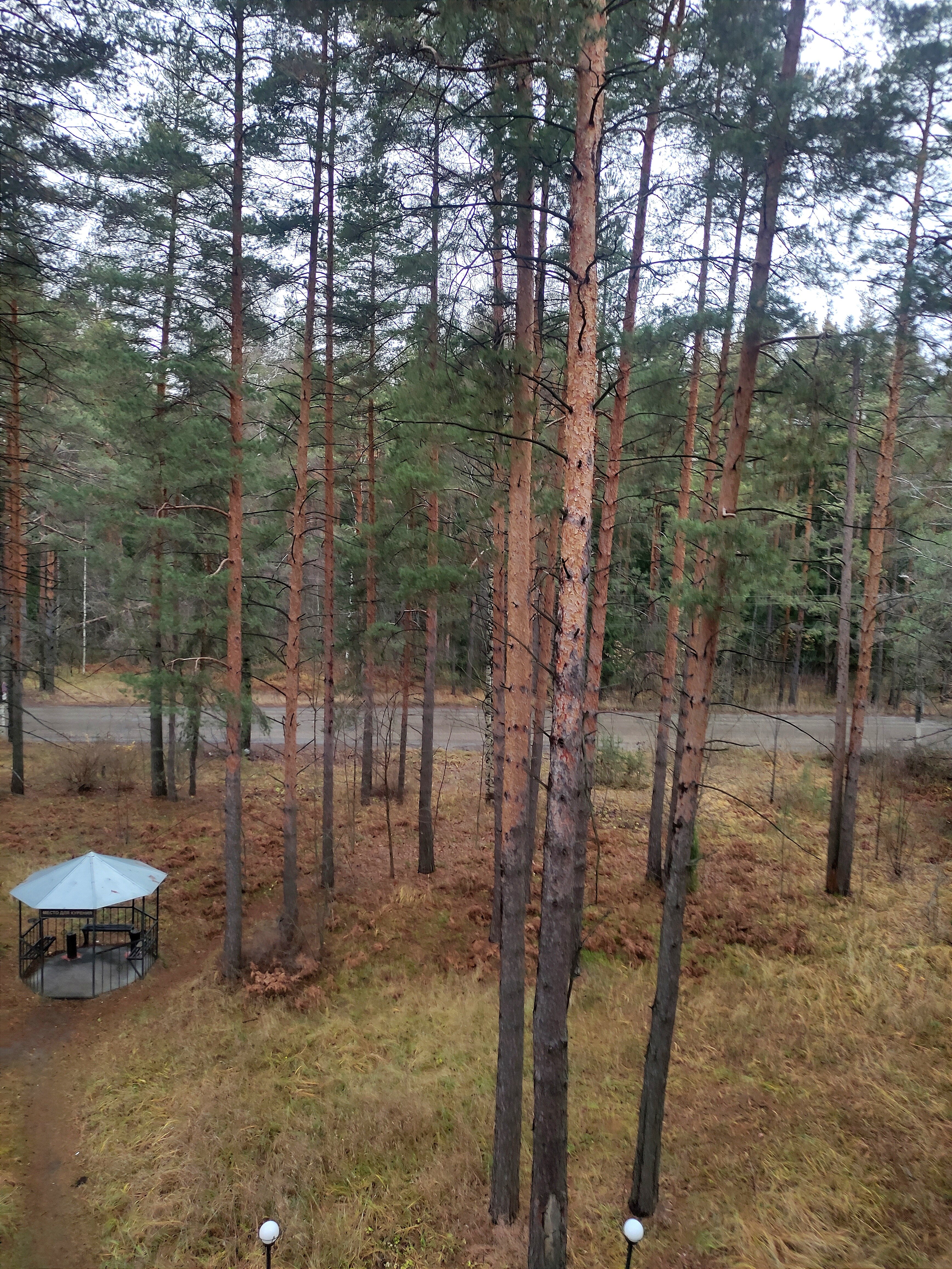 Фото Баринова роща