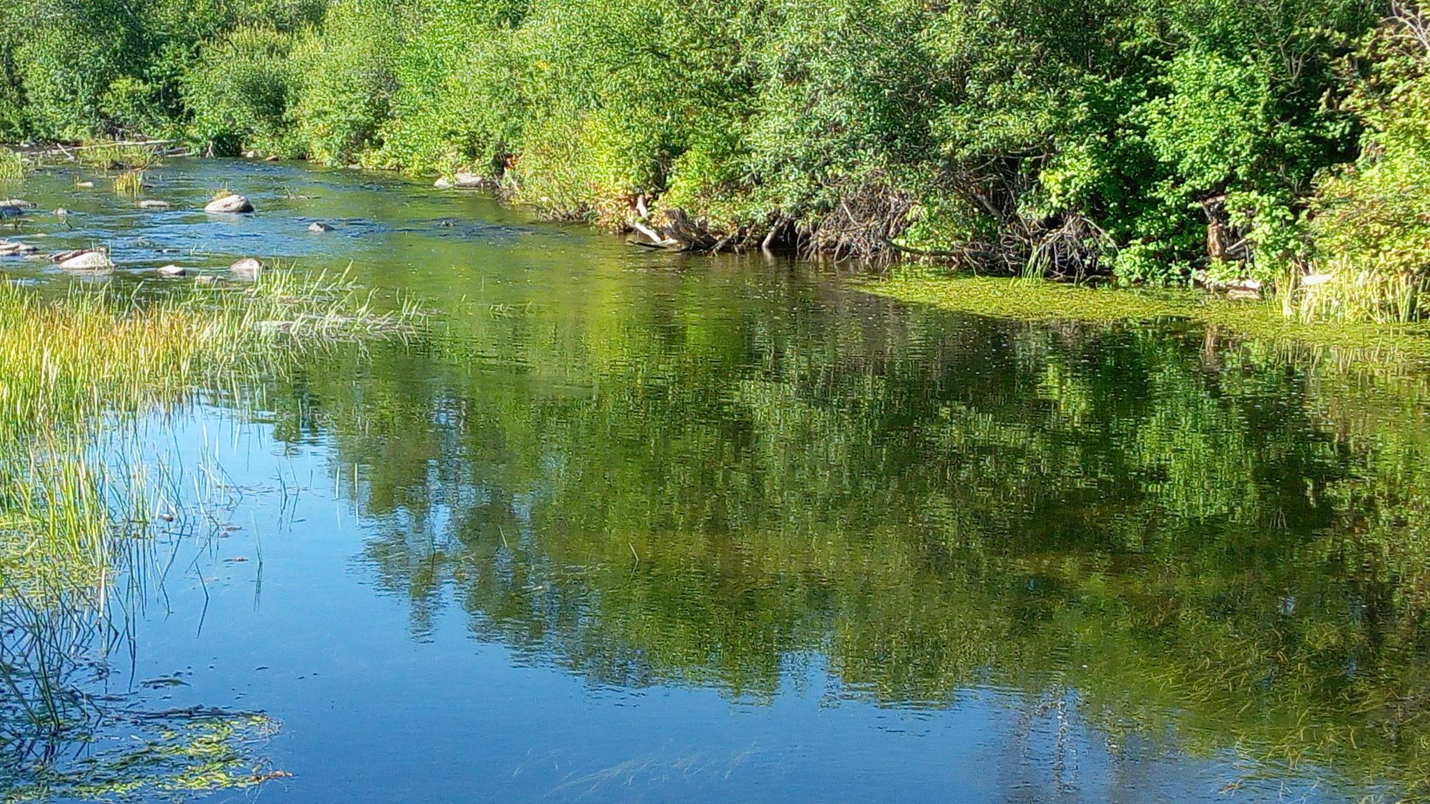 Фото Байкал-Кэмп