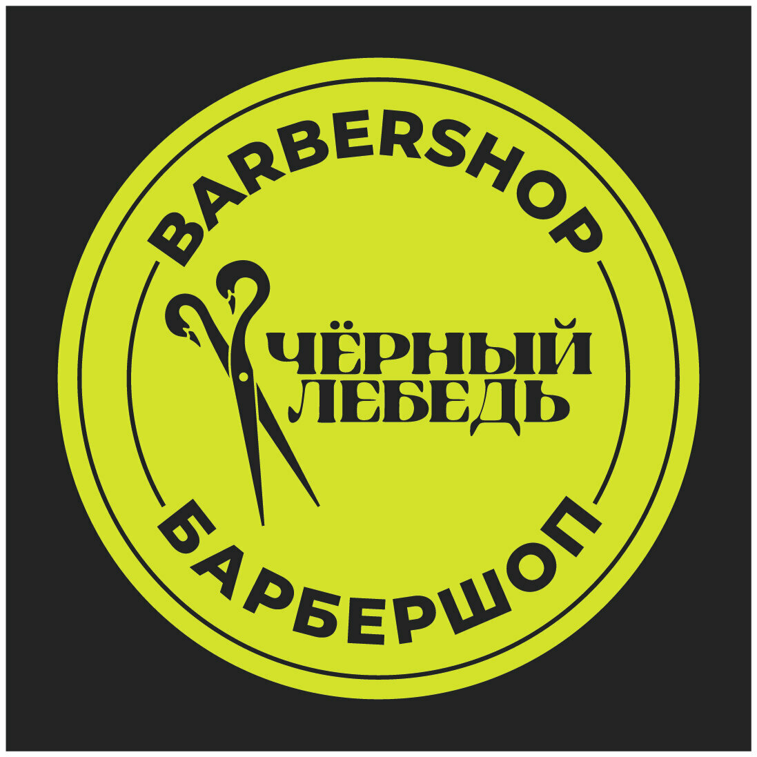 Чёрный лебедь