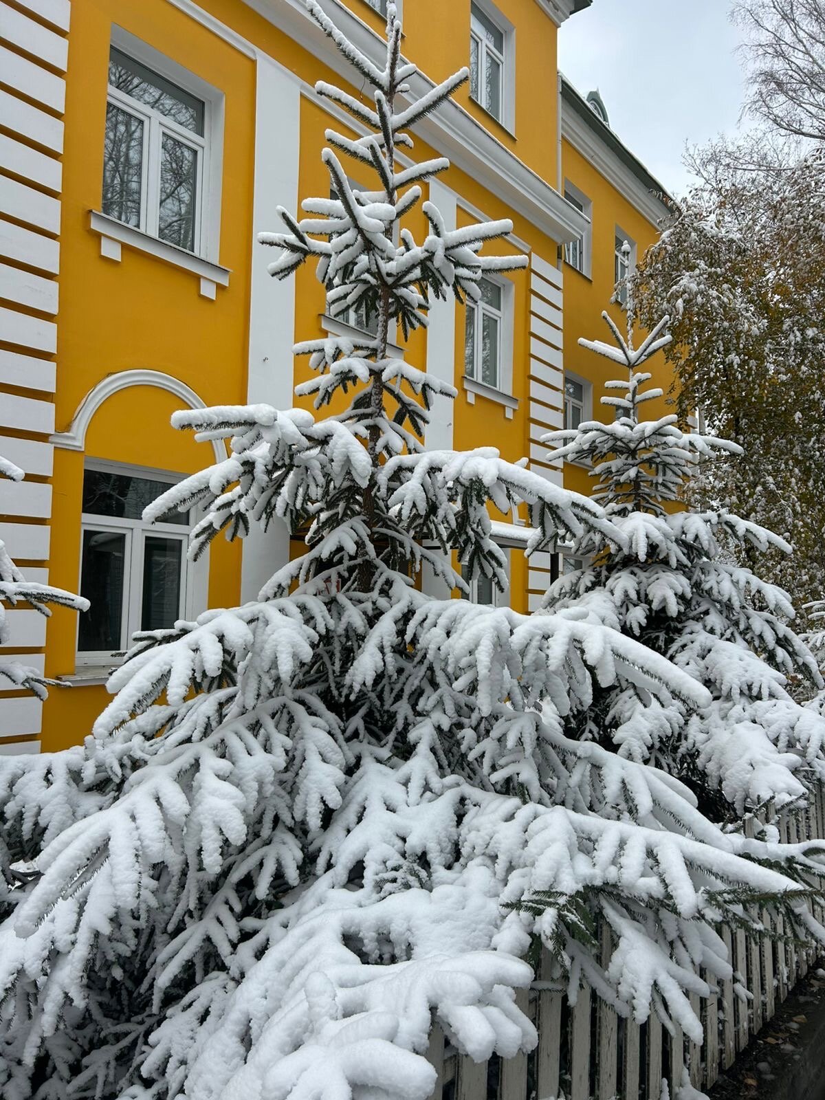 Фото Orange House