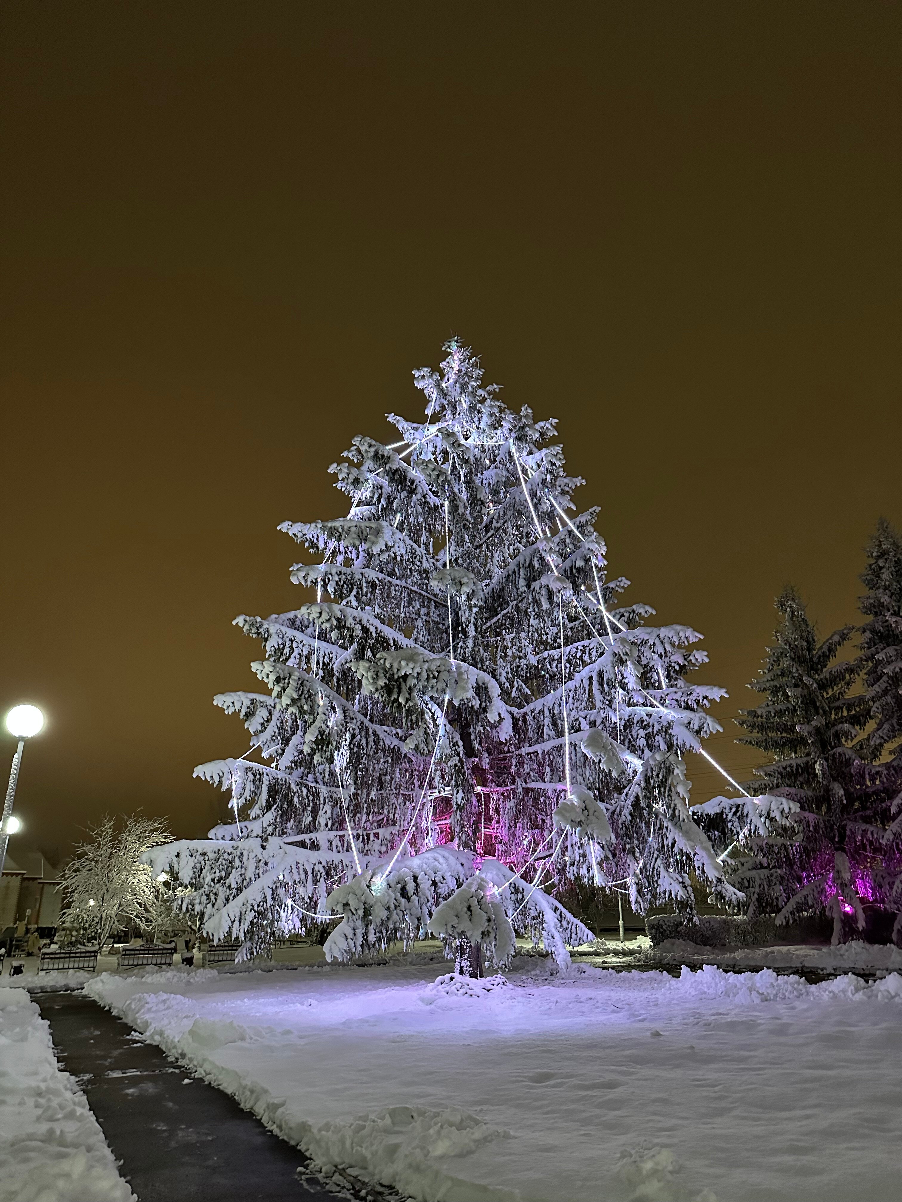 Фото Надежда