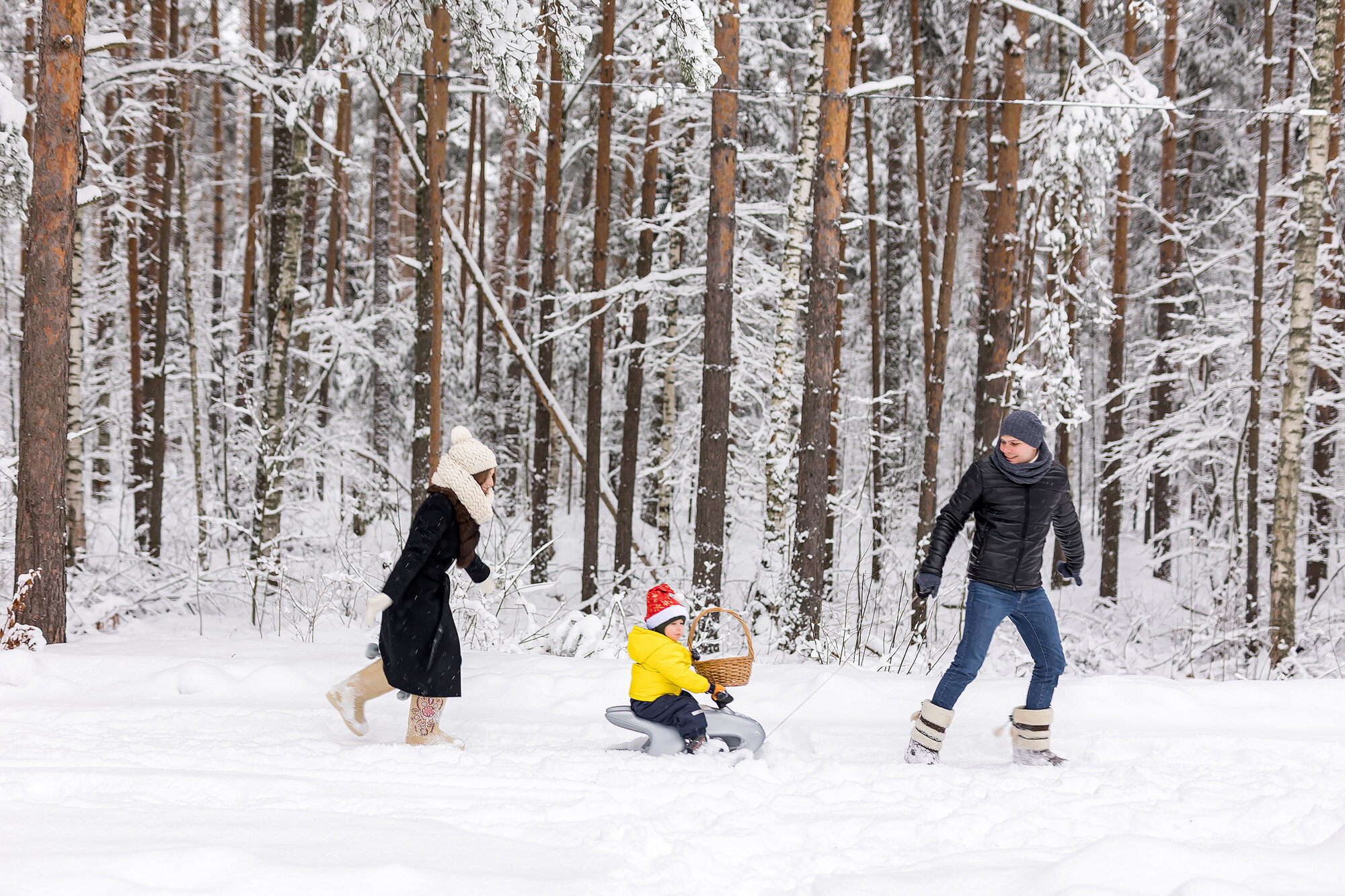 Фото Сосновый Бор