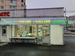 Овощи и фрукты (Piskaryovskiy Avenue, 20А), frutería