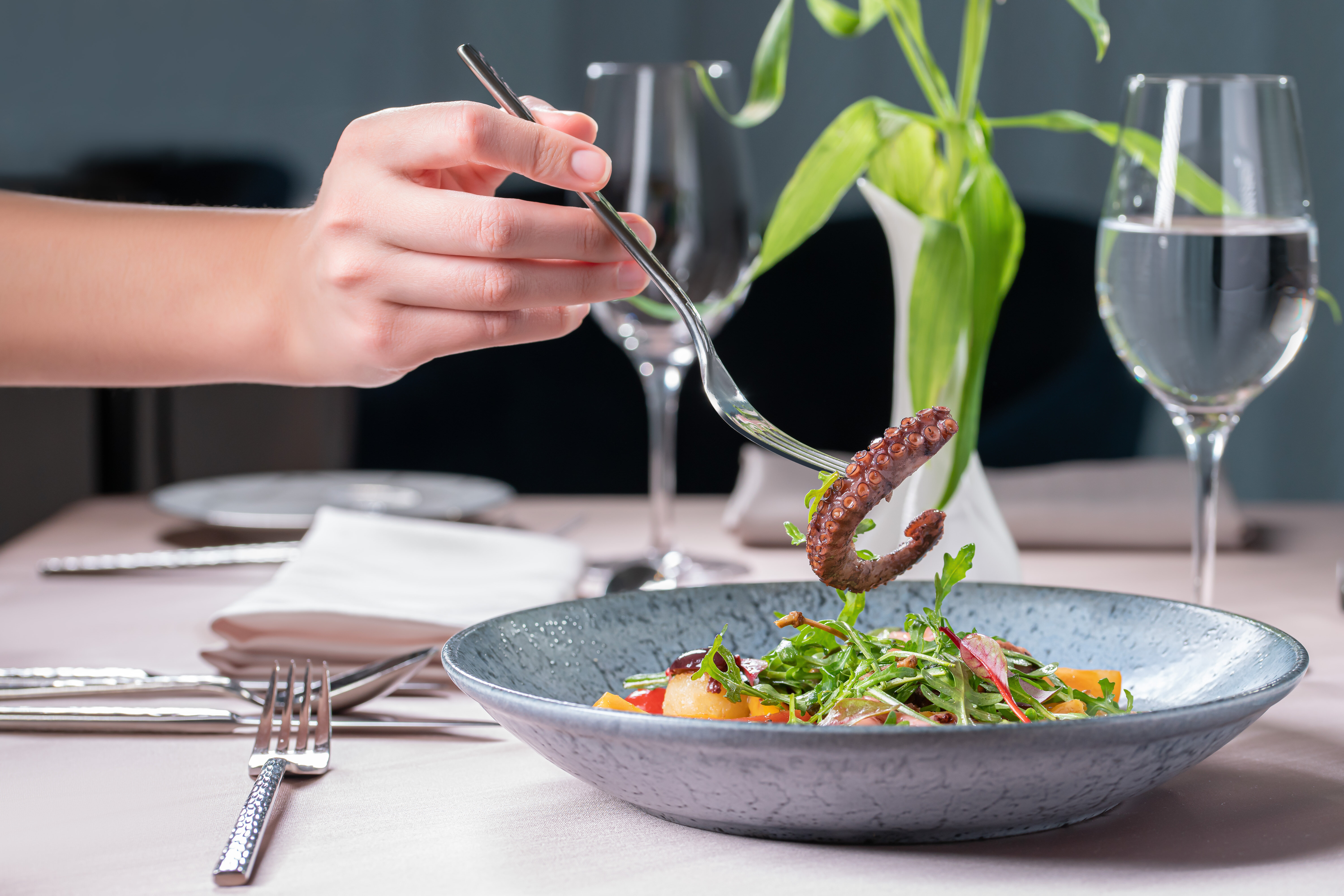 Фото Плаза СПА