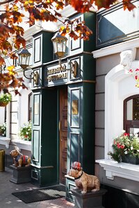 Chester Pub (Komsomolskaya ulitsa, 36), bar, pub