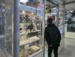 Bizhuteriya (Kosygina Avenue, 21к1) ، مجوهرات