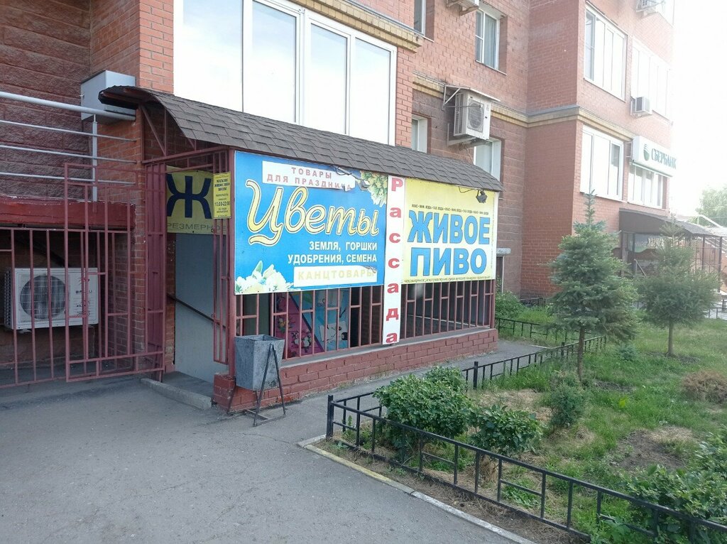 Жемчуг ул герцена 232 1 омск фото Больше не работает: Пивоман, магазин пива, Омск, улица Герцена, 232/1 - Яндекс К