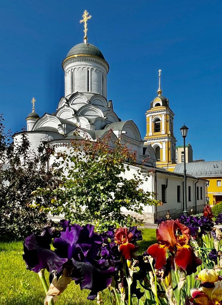 Monastery, convent, abbey Nativity Monastery, Moscow, photo