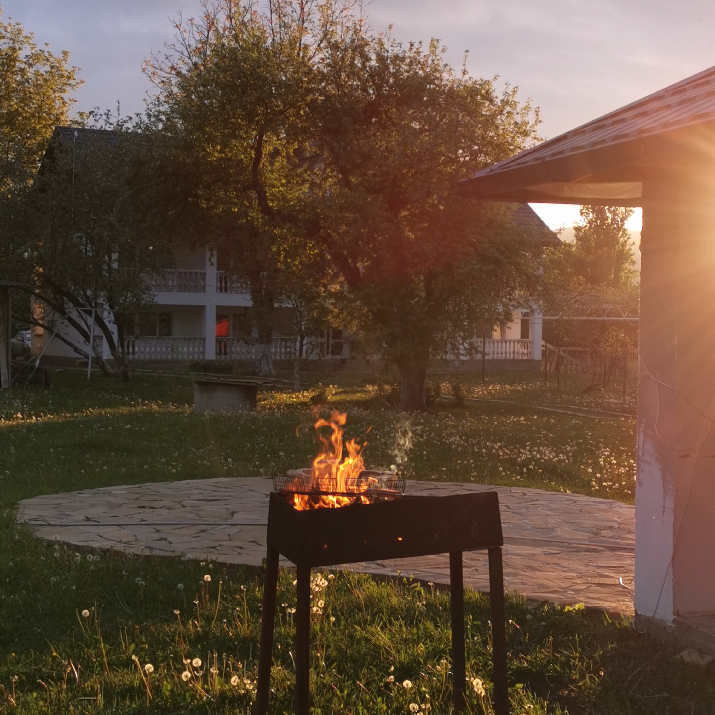 Фото Ореховая роща в Даховской