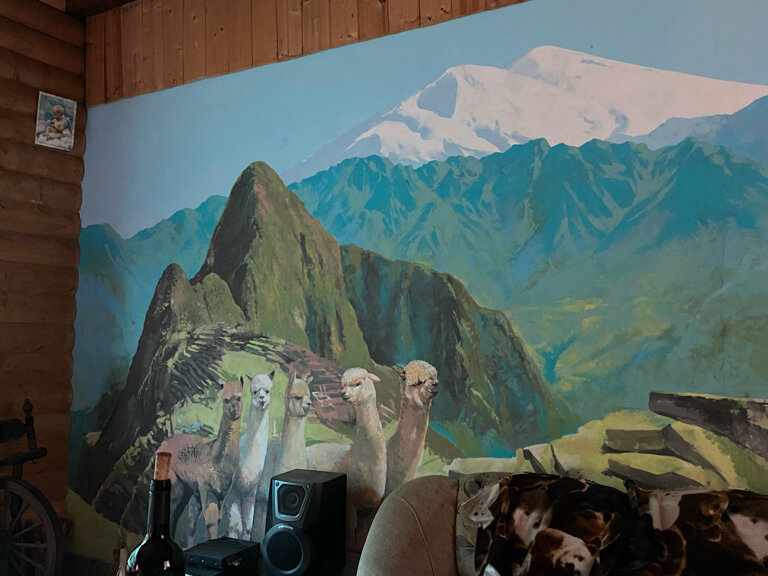 Фото Альпака