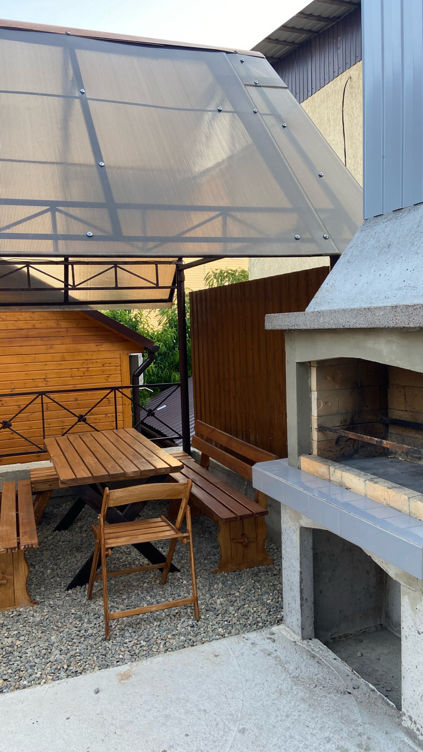 Фото Дельфин