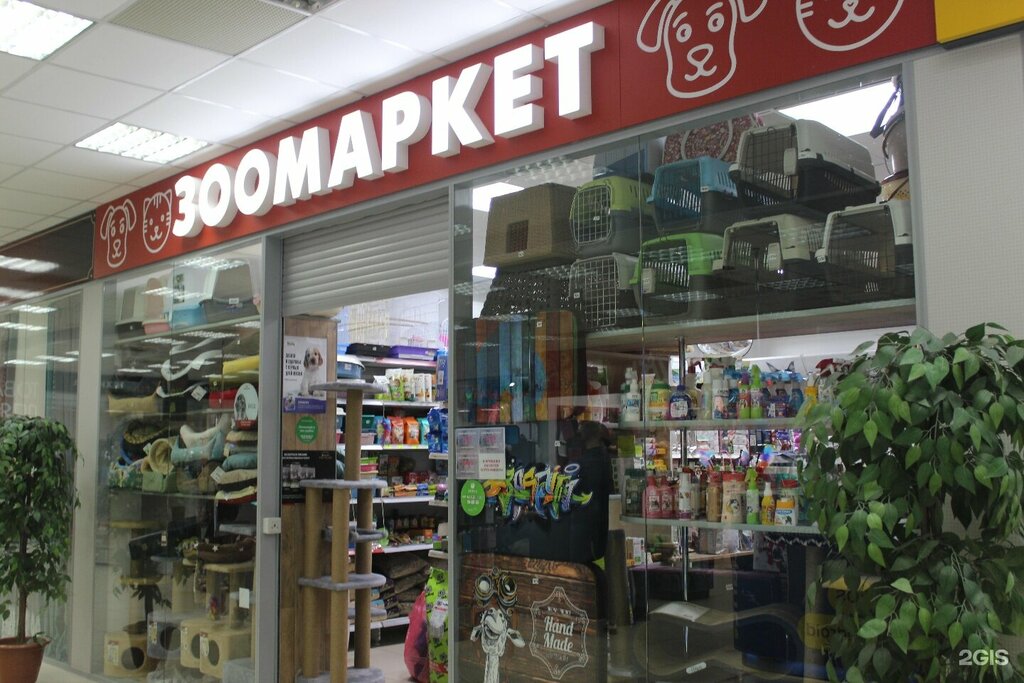 Pet shop Мистер ошейников, Perm, photo