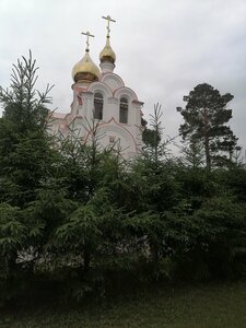 Церковь Сергия Радонежского (Novosibirsk Region, Toguchin), orthodox church