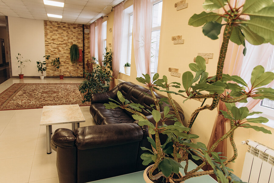 Фото Фламинго