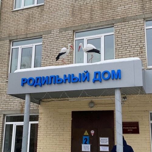 Областной перинатальный центр, Акушерское отделение патологии беременности, отде