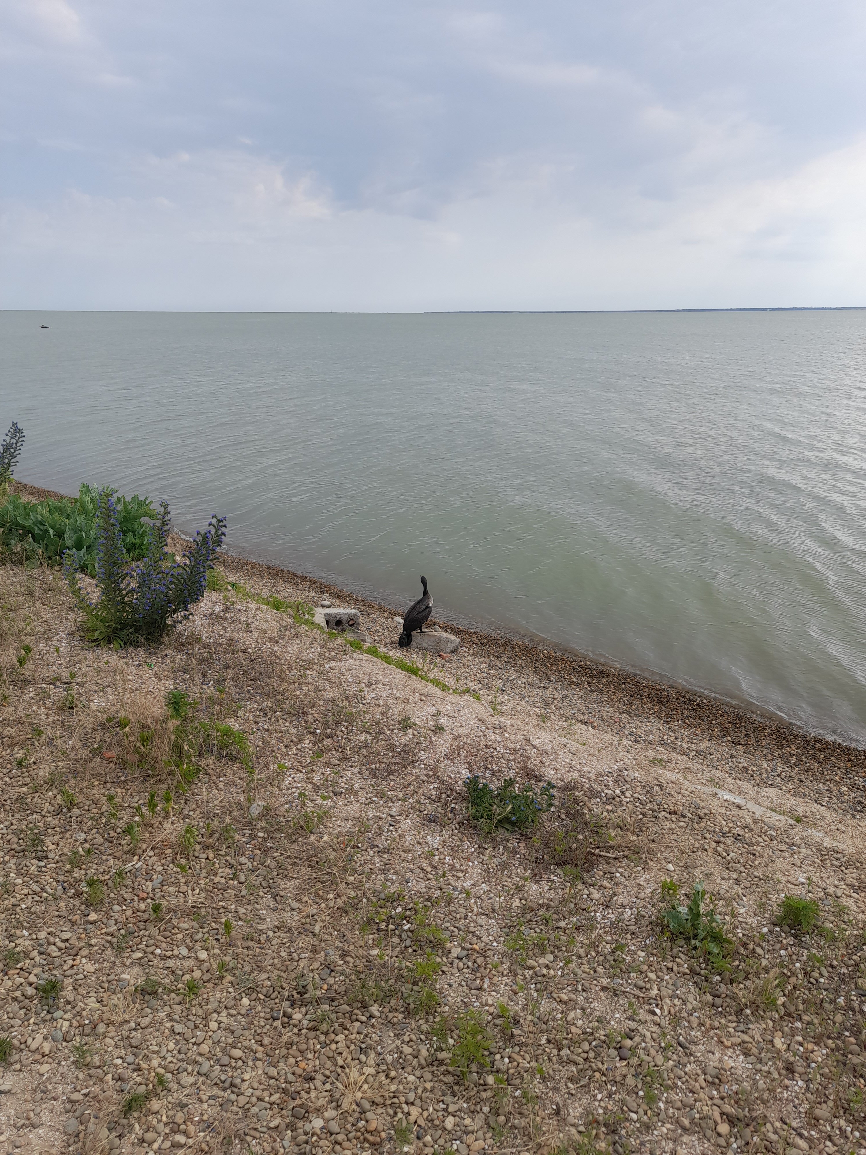 Фото Семейный уголок