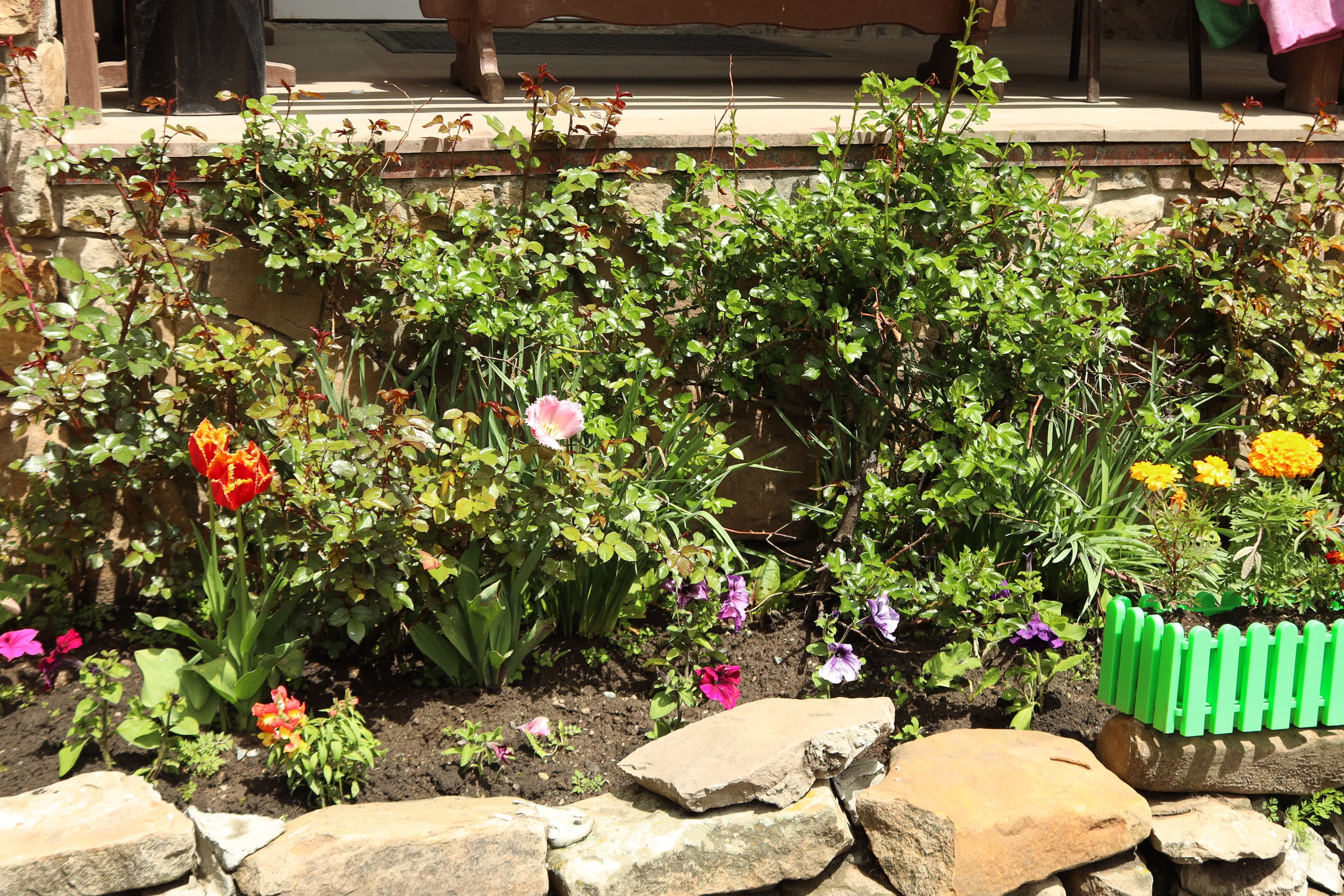 Фото Алатау Люкс