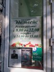 Эдельвейс (posyolok Nizhniy Arkhyz, 2) ، محل بقالة