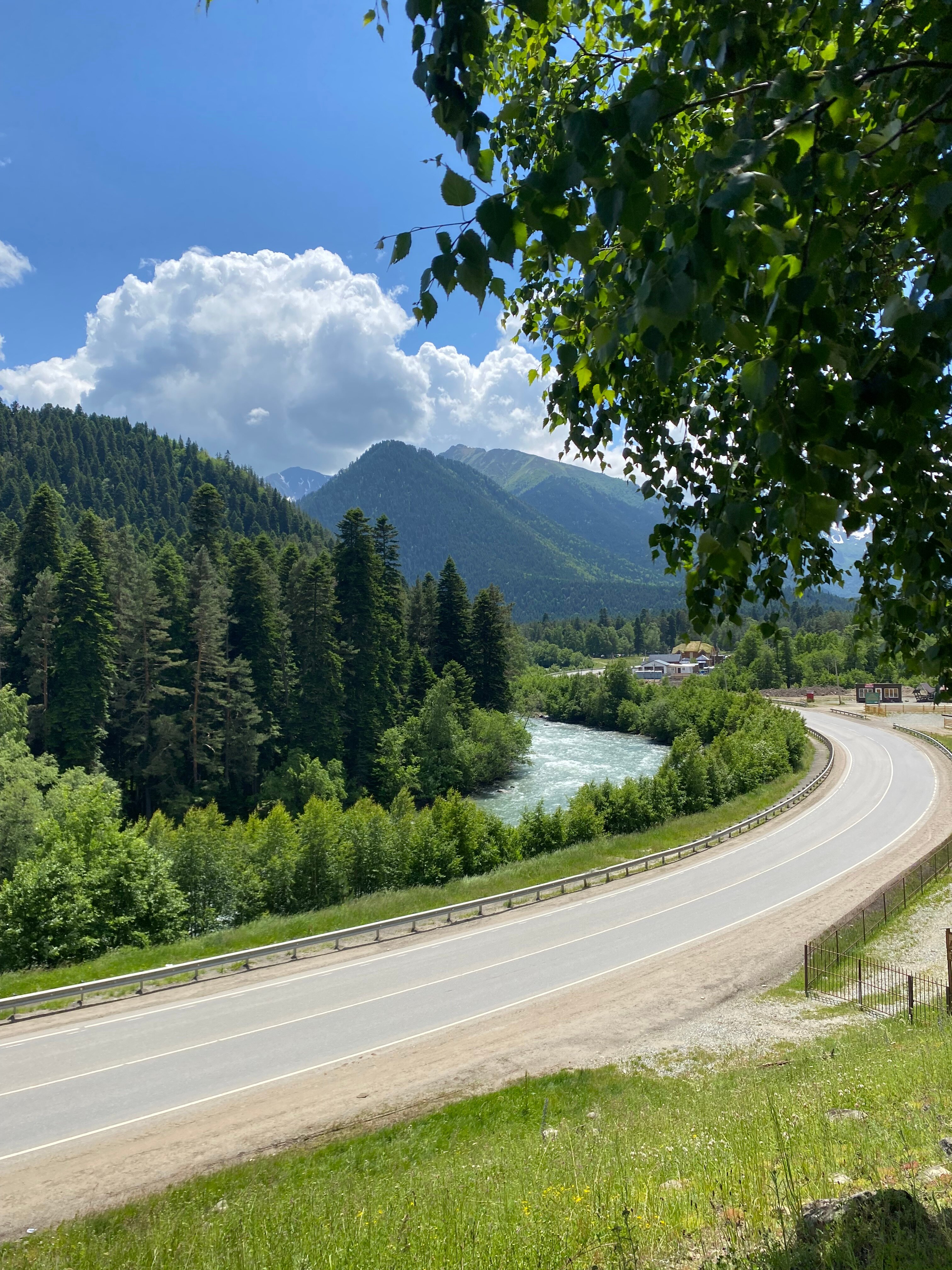 Фото Сосновый бор