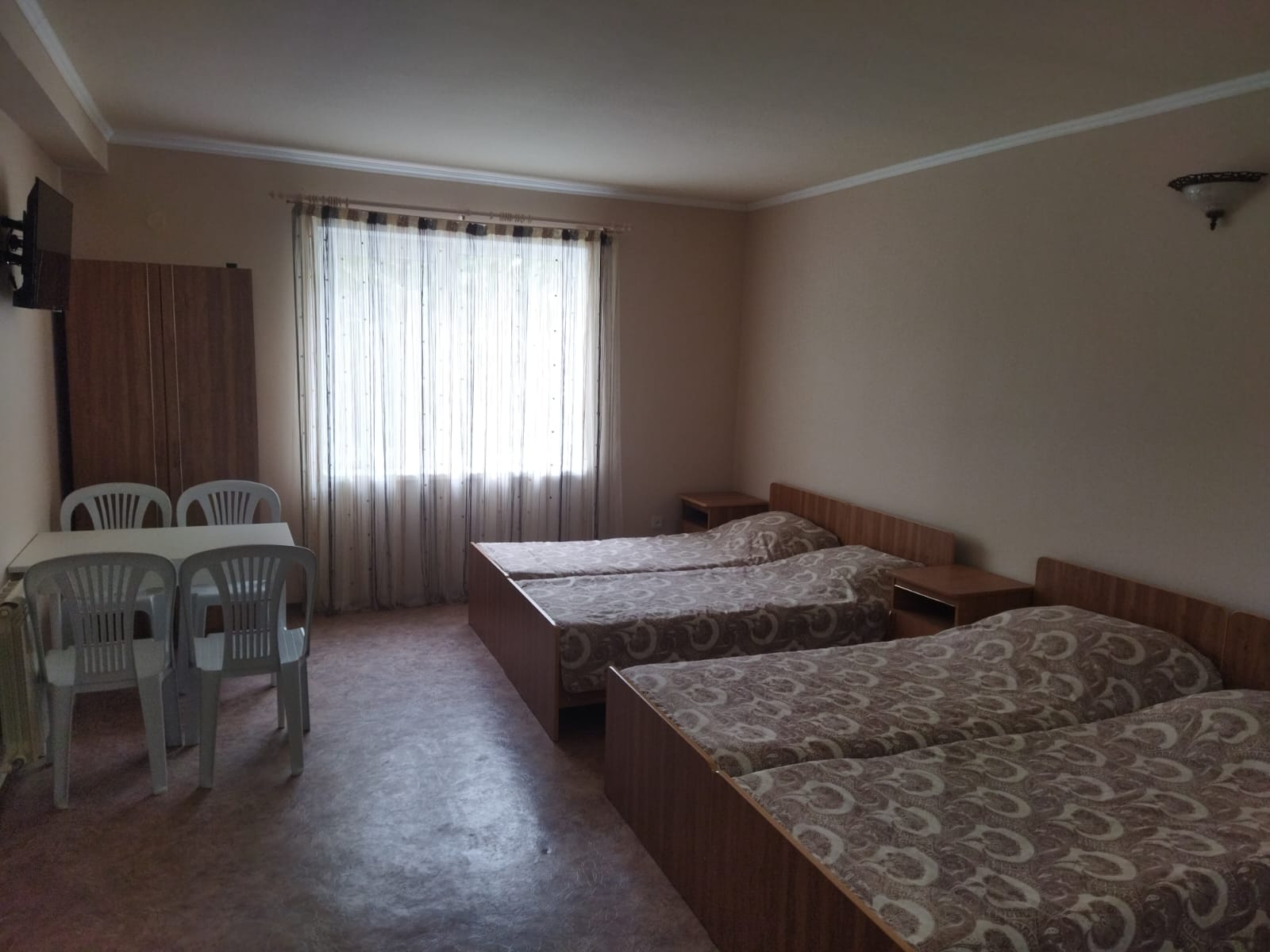 Фото Ромашка