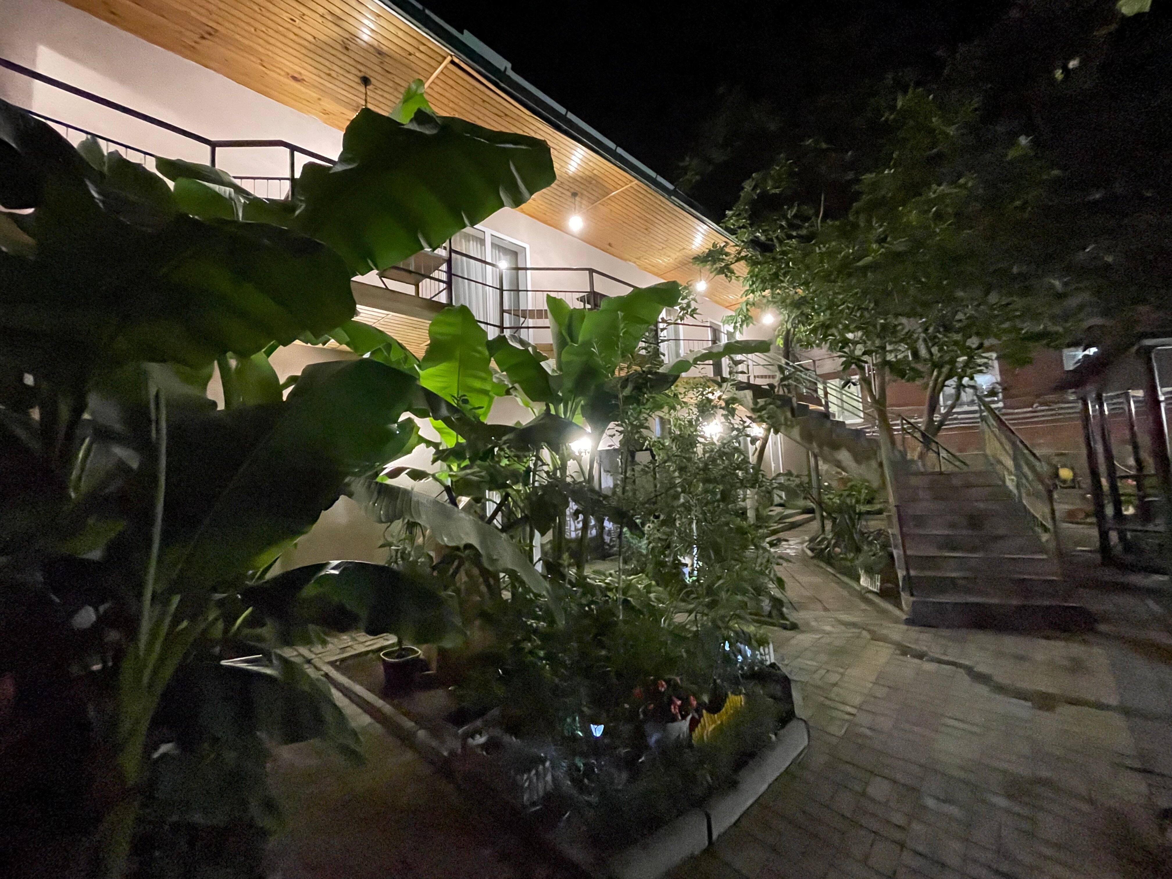 Фото У Михалыча