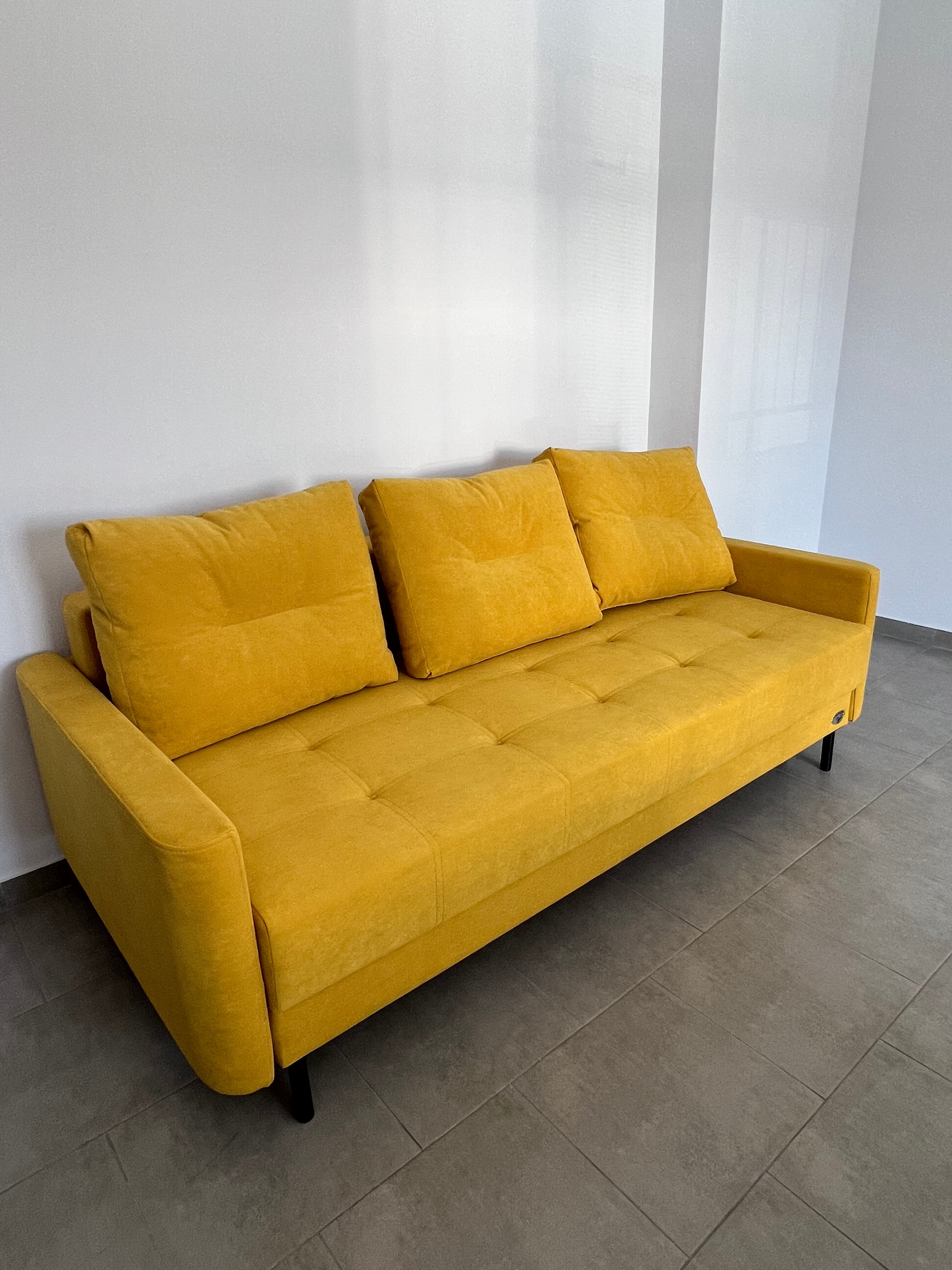 Фото Конкур