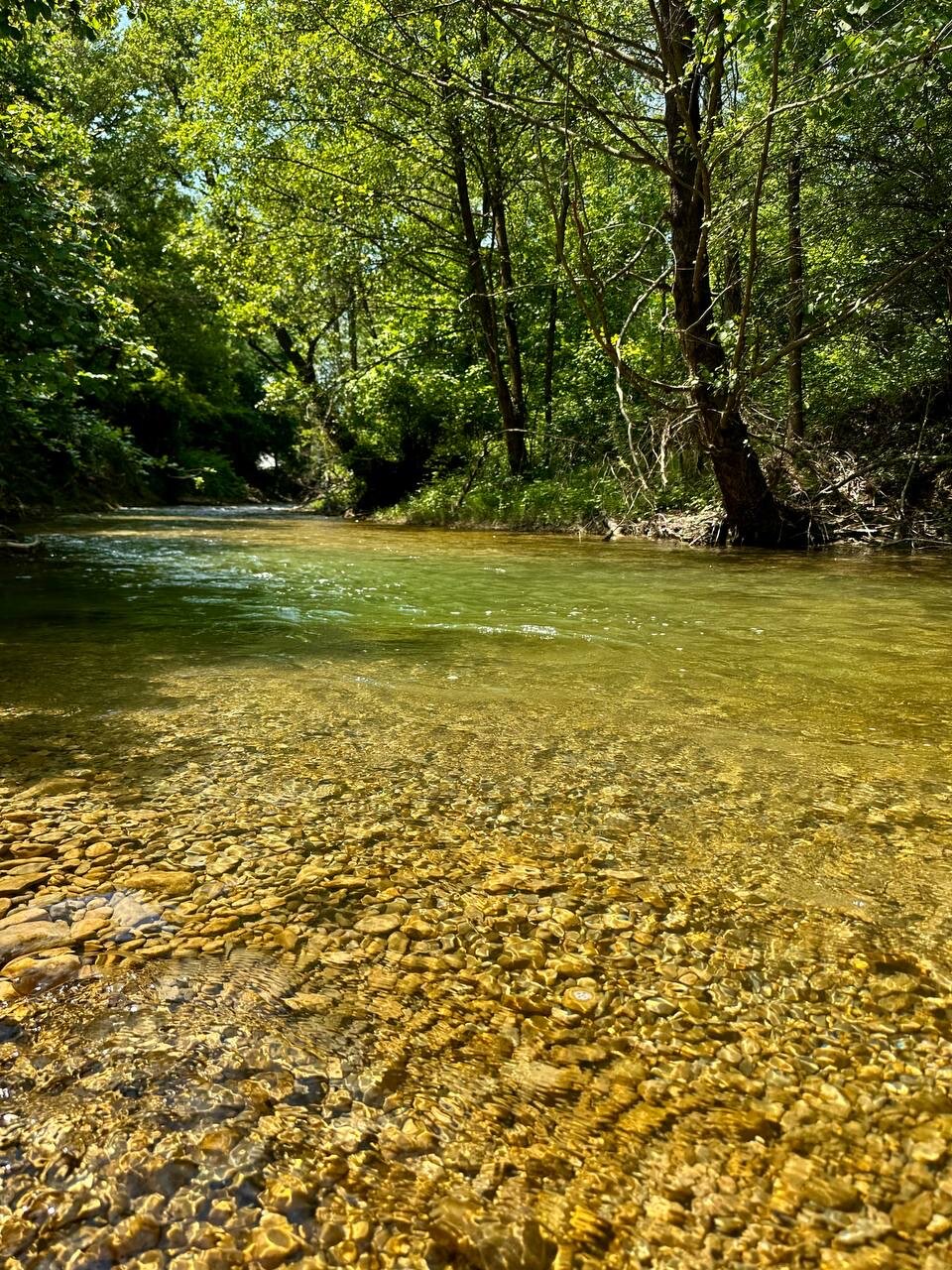 Фото Наш Дом