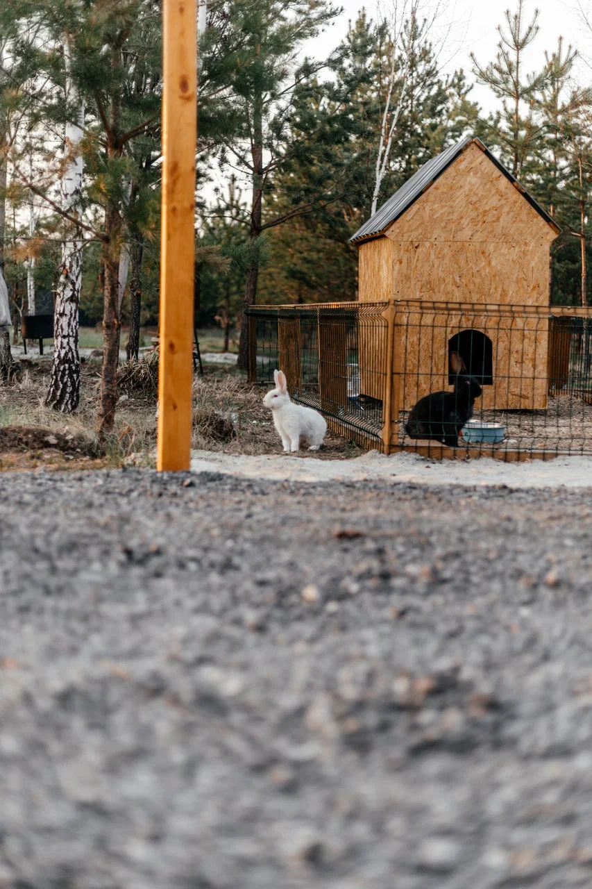 Фото Live Drive Village