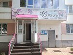 Скарлетт (ulitsa Akademika Kurchatova, 1/11), beauty salon
