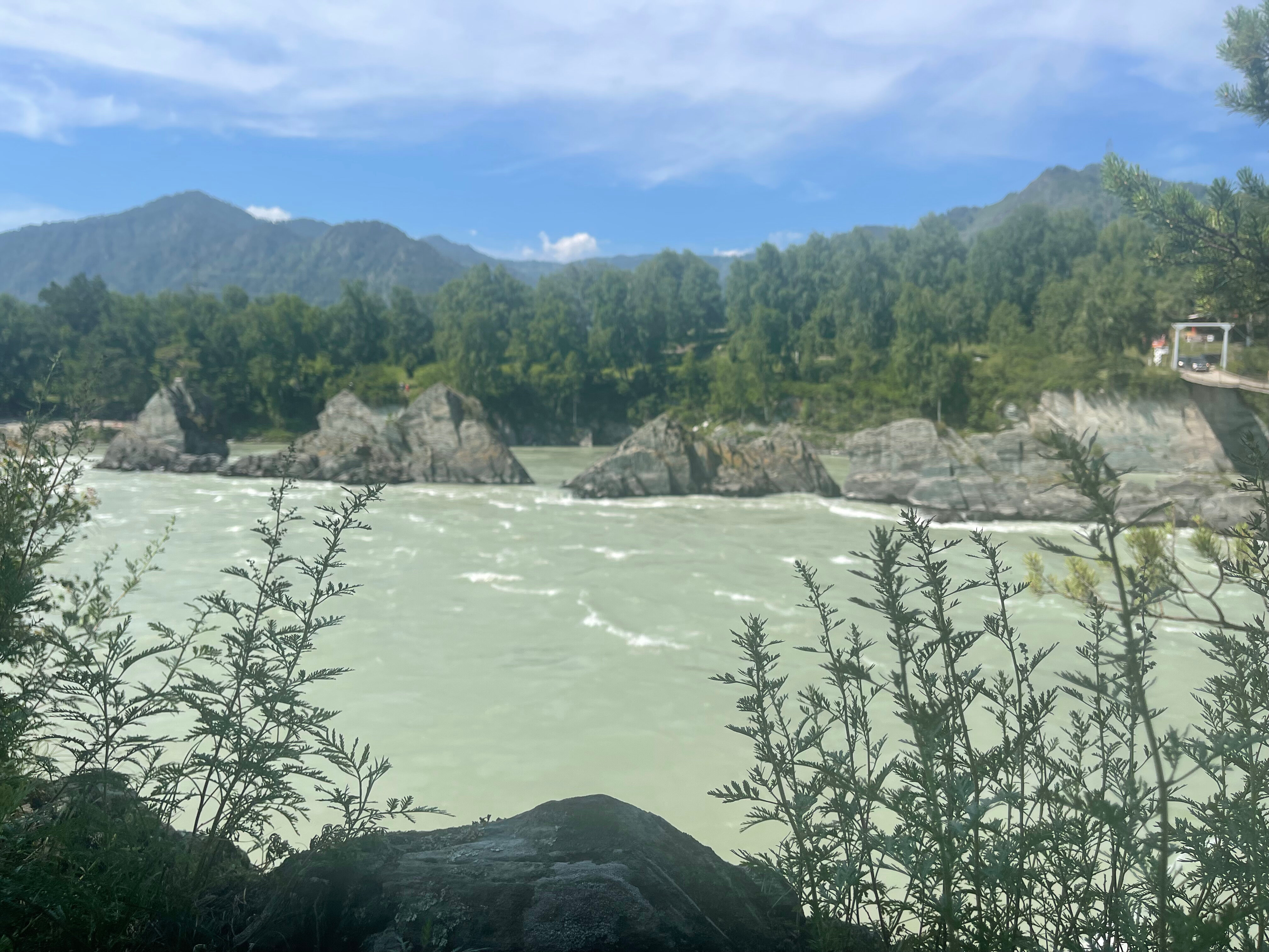 Фото Зубы Дракона