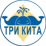 Tri Kita (1st Rabochaya Street, 44) ، شركة بناء
