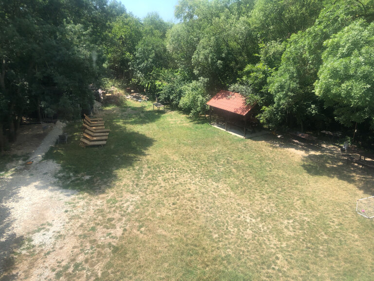 Фото Старый Ясень