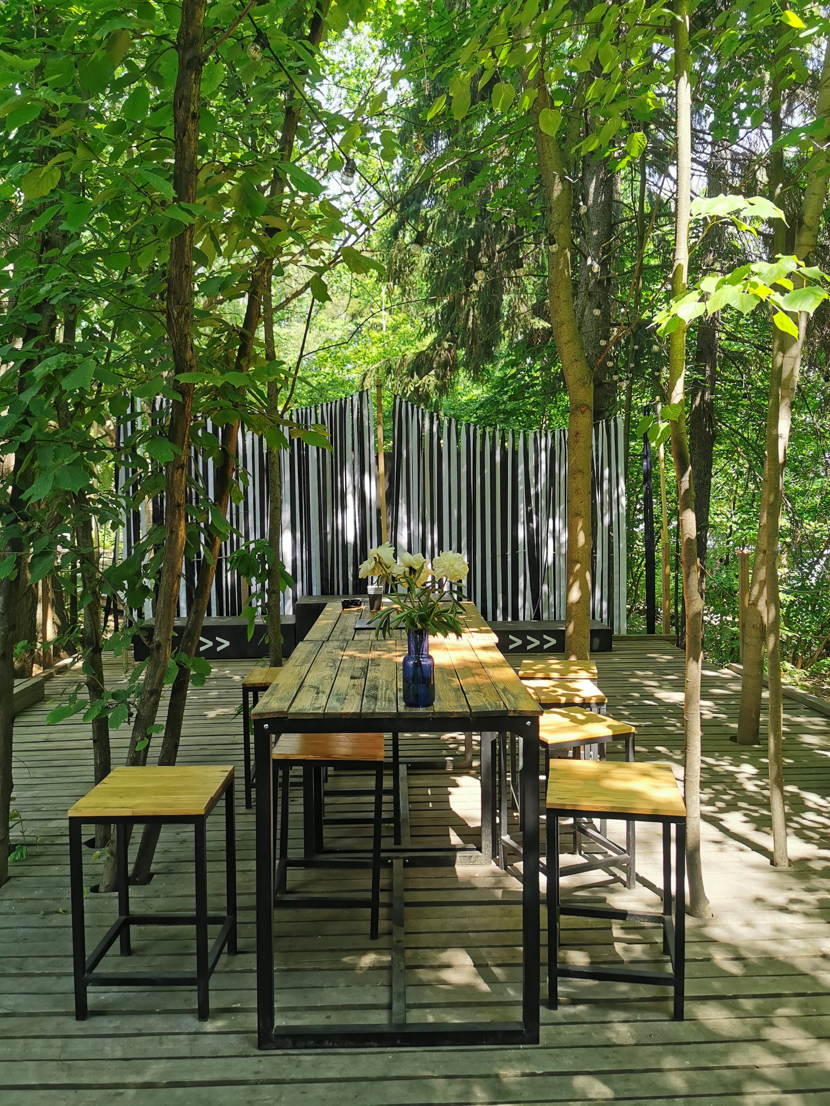 Фото Сила ветра