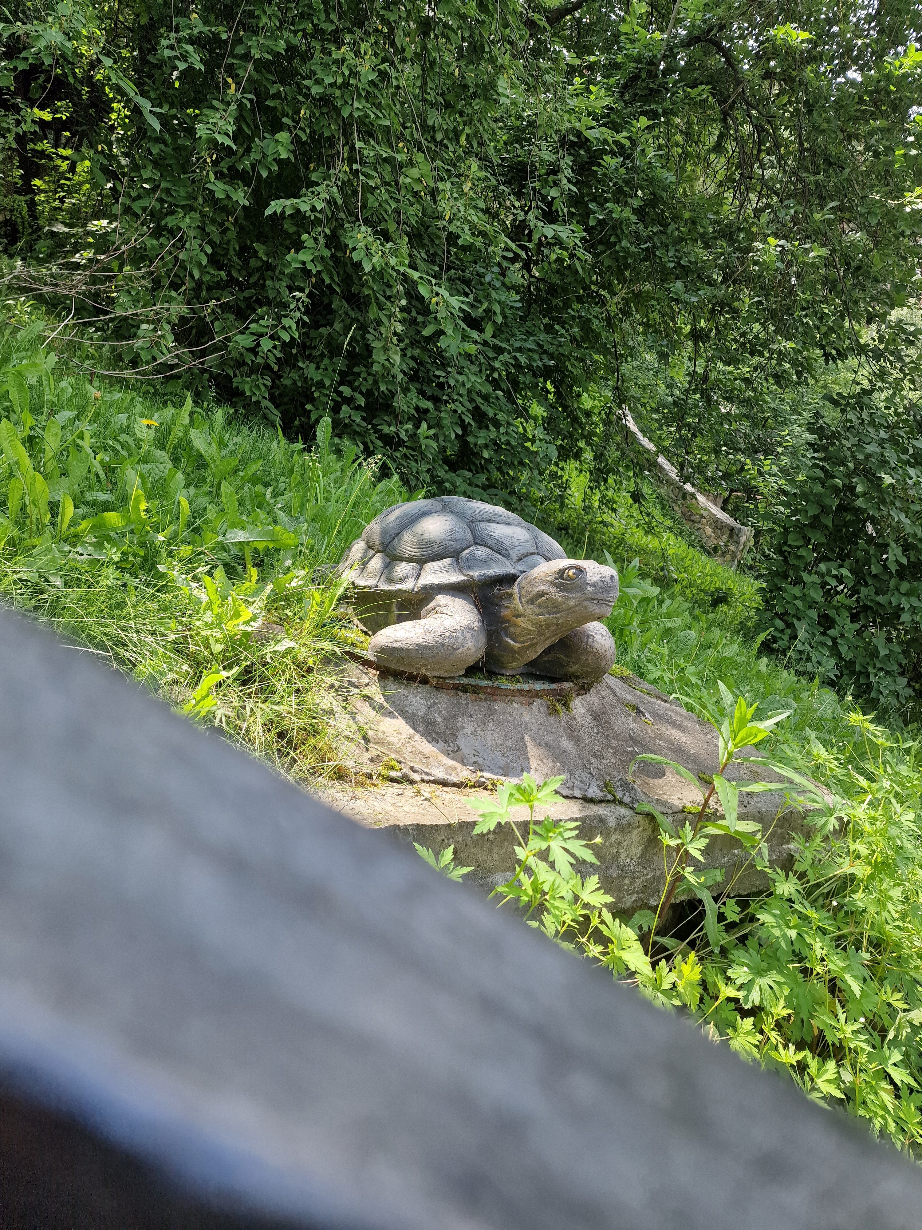 Фото Царская охота